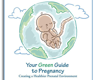 Your
                              Green Guide to Pregnancy DVD!
